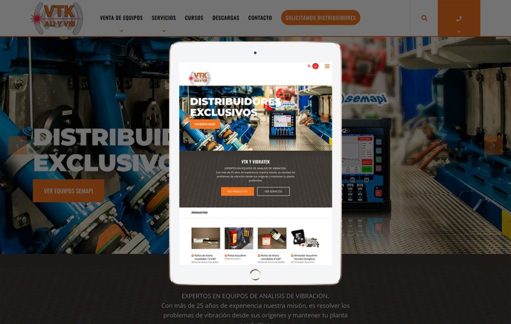 paginas web monterrey 9