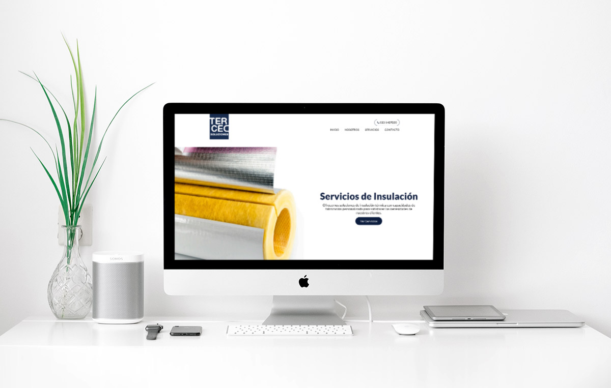 paginas web monterrey 07