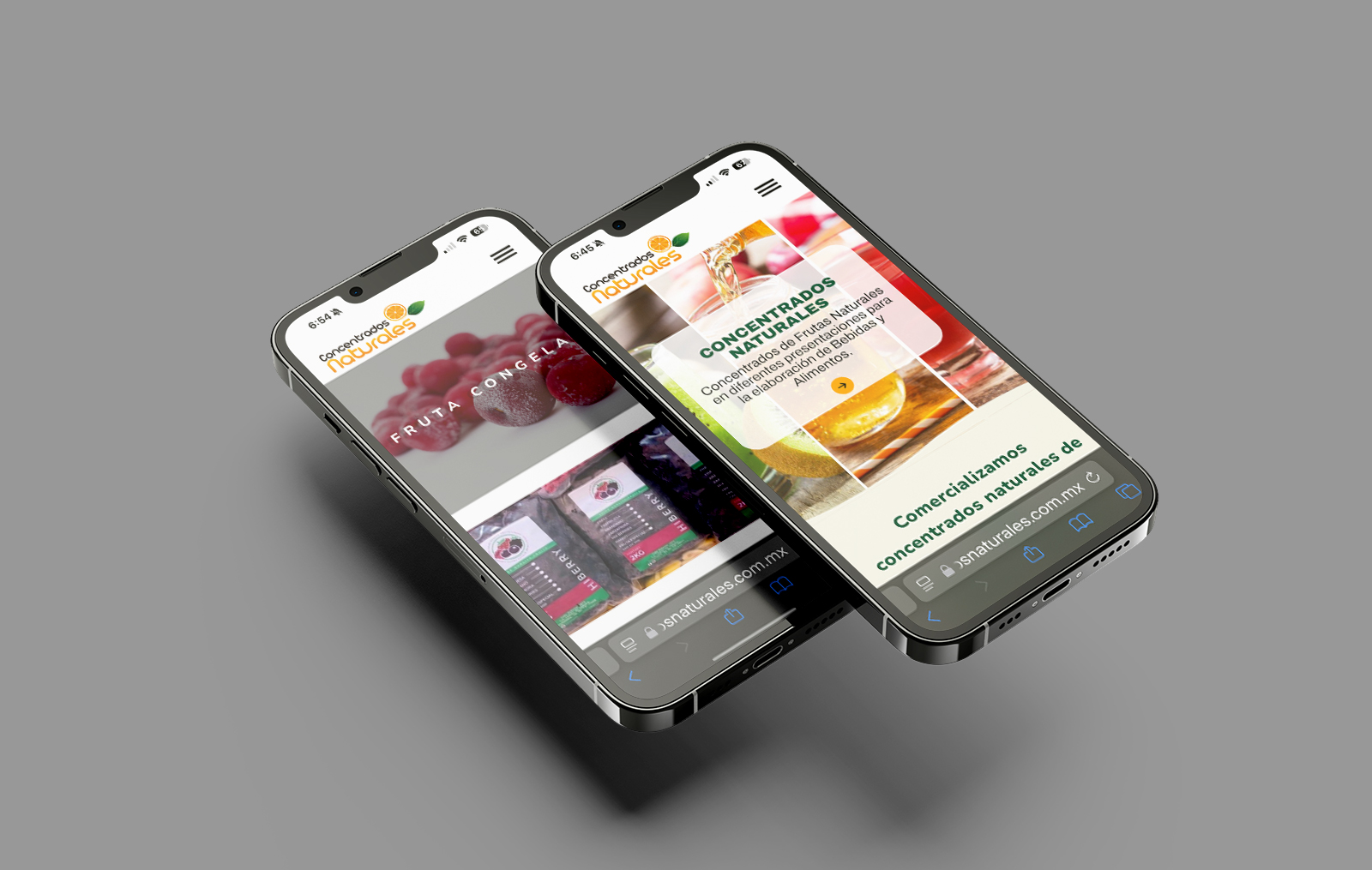paginas web profesionales monterrey 1