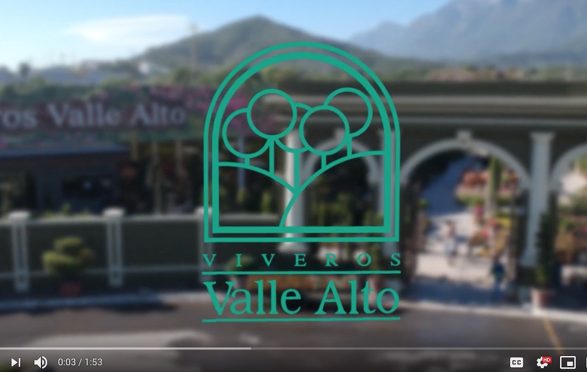 video para empresa