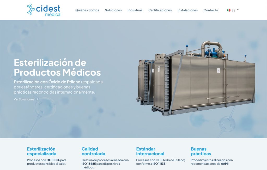 diseno web profesional 01
