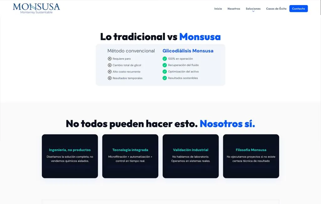 Monsusa 10 disenador web monterrey