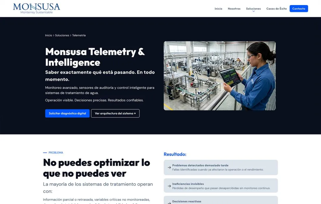 Monsusa 2 diseno web en monterrey