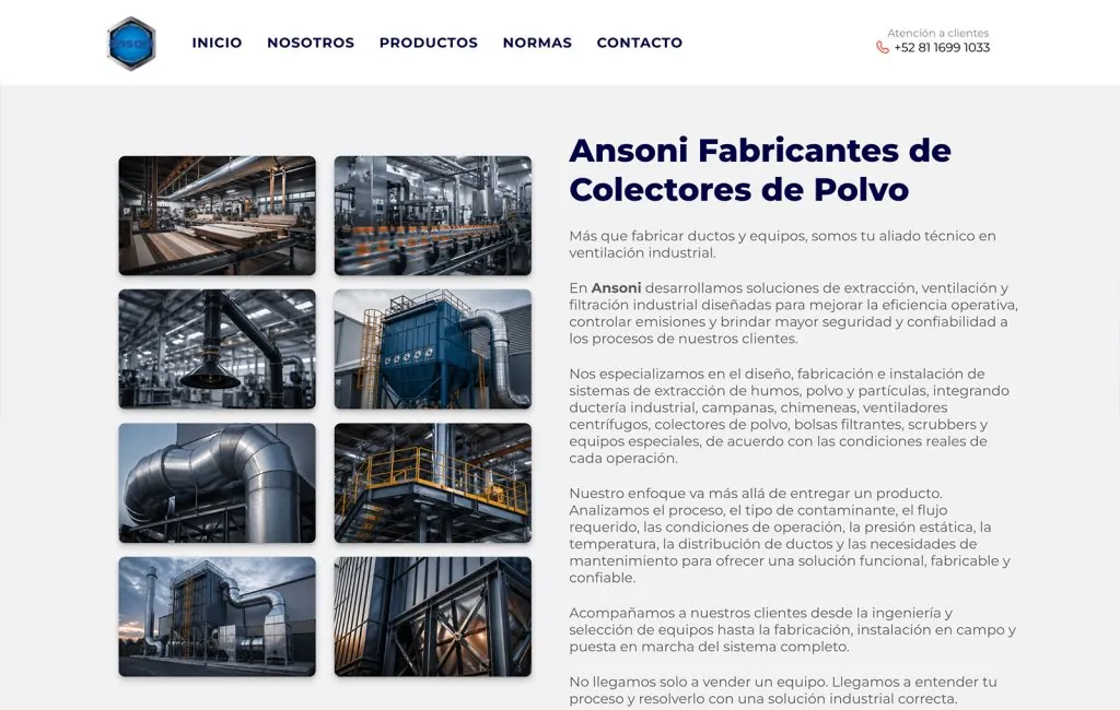 Ansoni 5 disenador De Websites