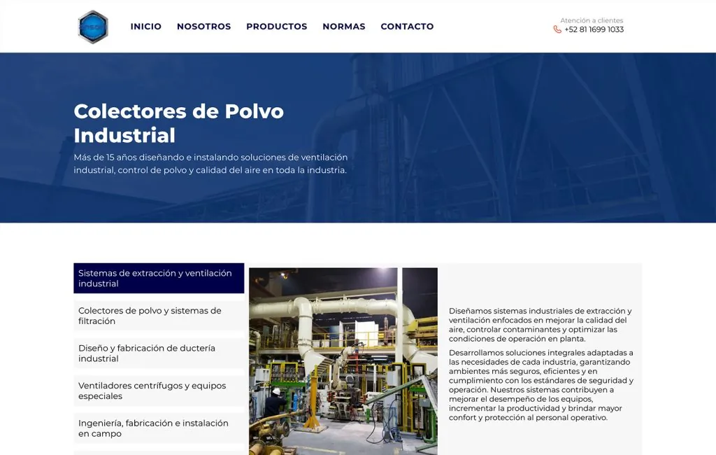 Ansoni 10 diseno web profesional