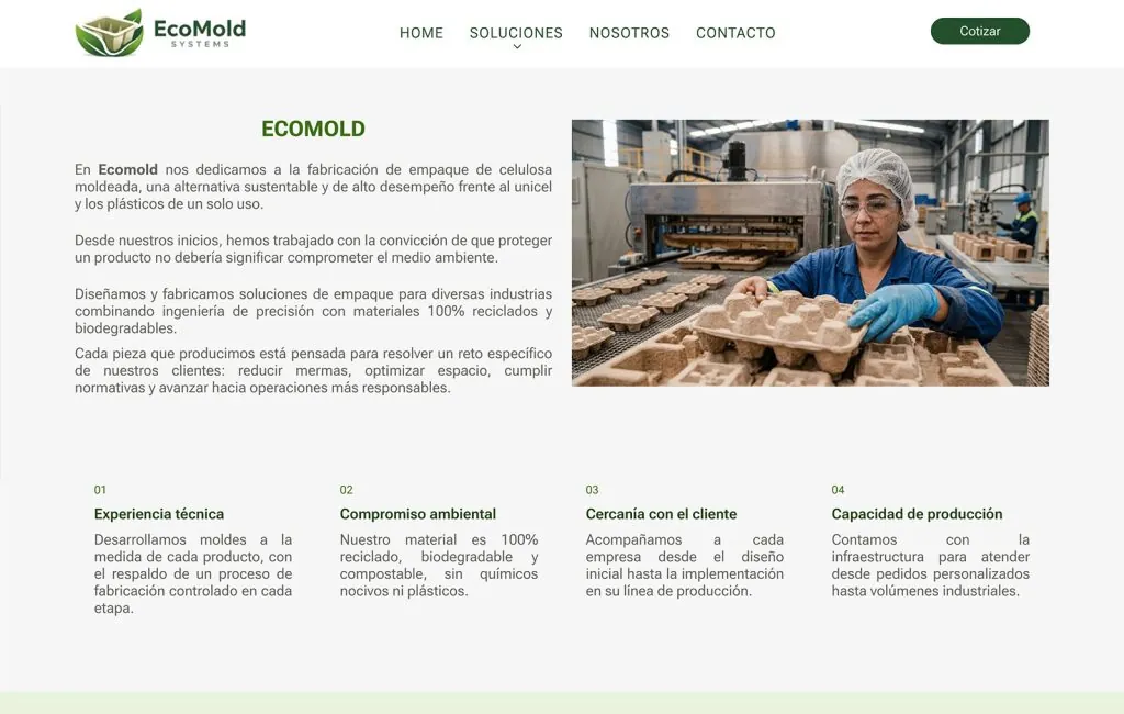 Ecomold 6 agencia de diseno web