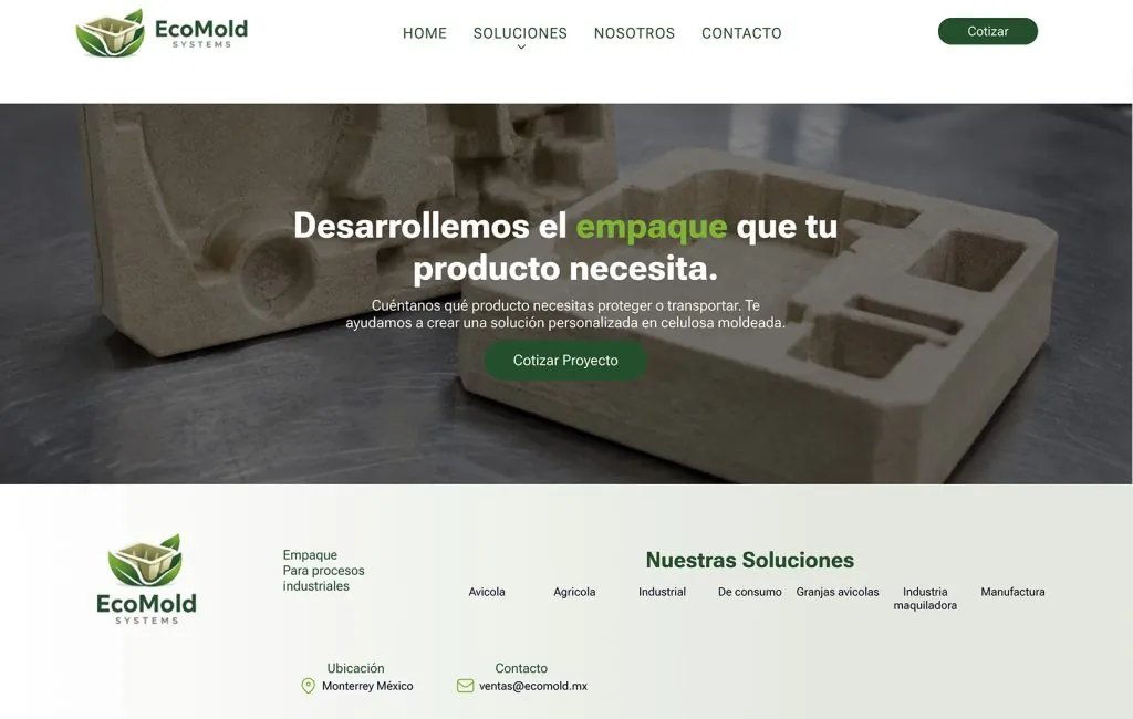 Ecomold 8 agencias de diseno web en monterrey