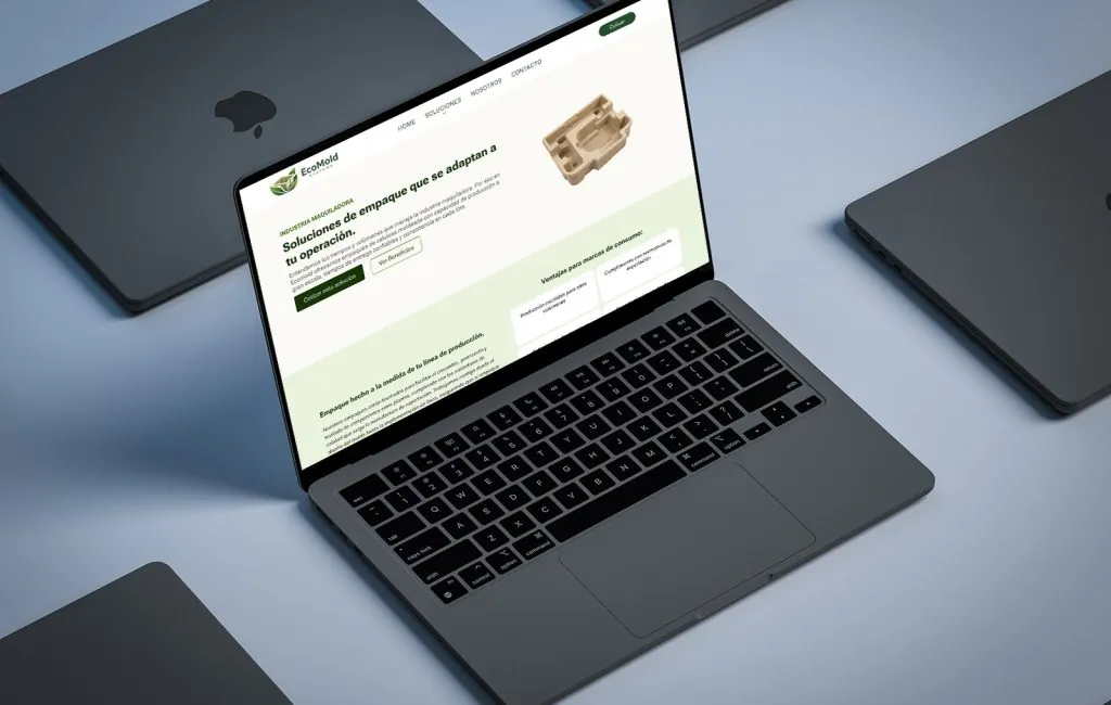 Ecomold 4 disenador profesional web en monterrey