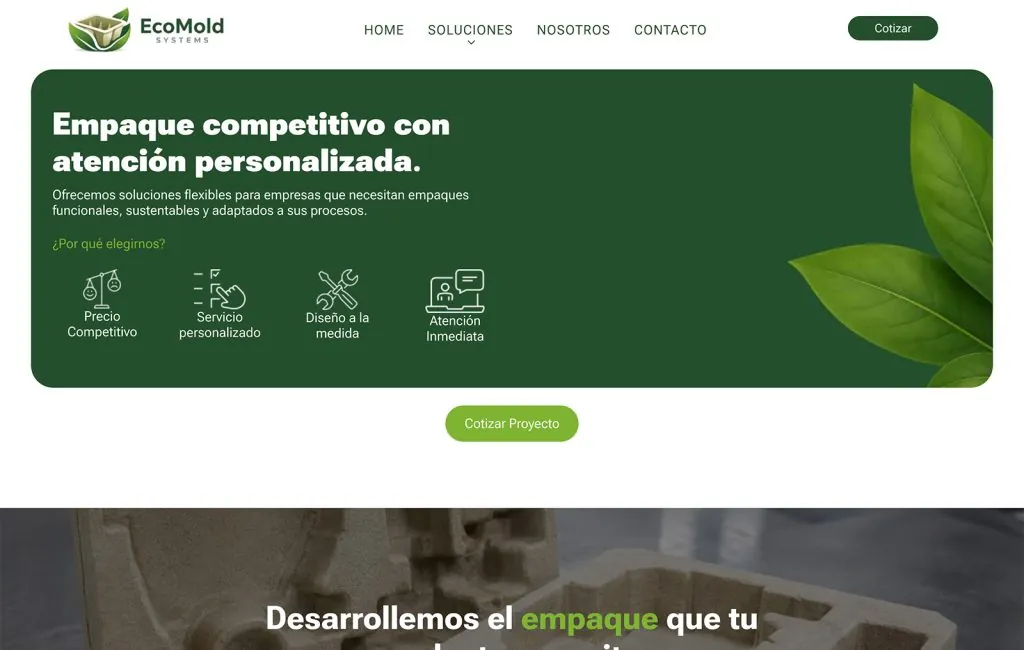Ecomold 9 website design en monterrey