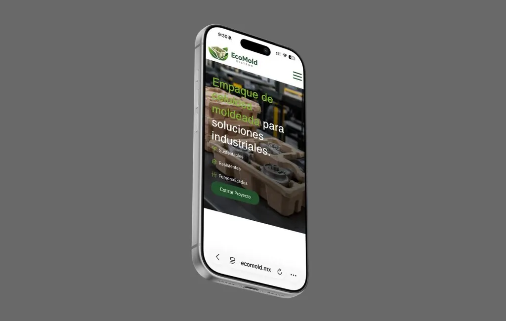 Ecomold 3 empresas que hacen sitios web en monterrey