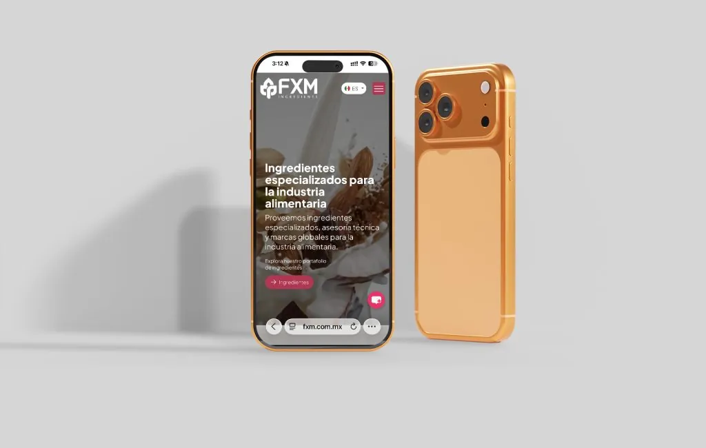 diseno web para movil 9 1