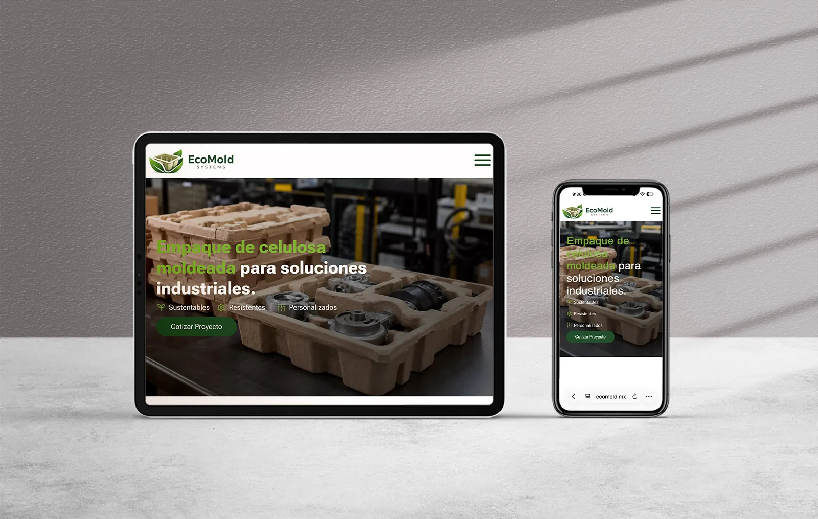 Ecomold 1 empresas de diseno web profesional en monterrey