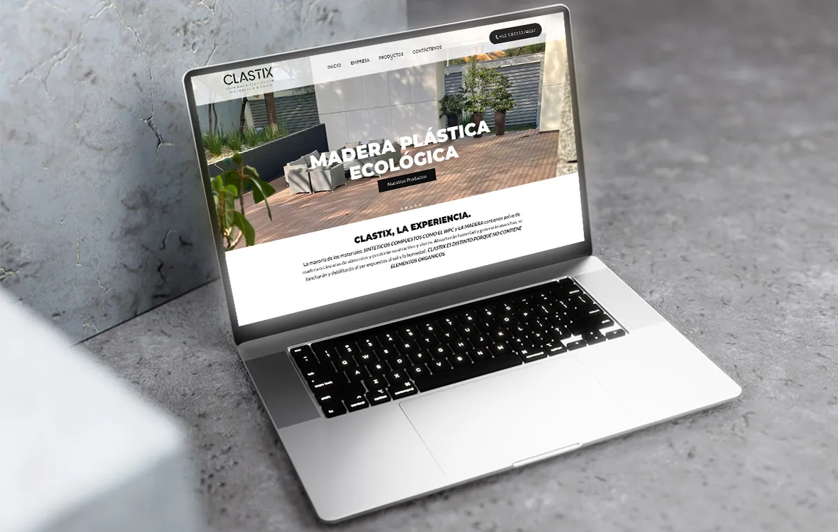 paginas web en monterrey 1